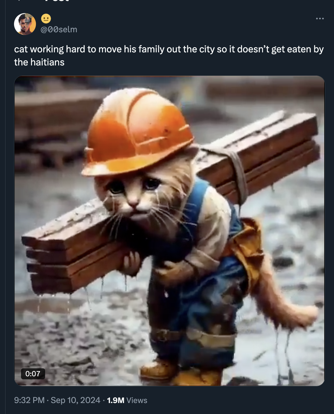 Internet meme - cat working hard to move his family out the city so it doesn't get eaten by the haitians 1.9M Views